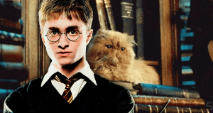 Teoría: el gato de Hermione perteneció a los Potter