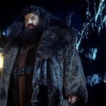 Rubeus Hagrid